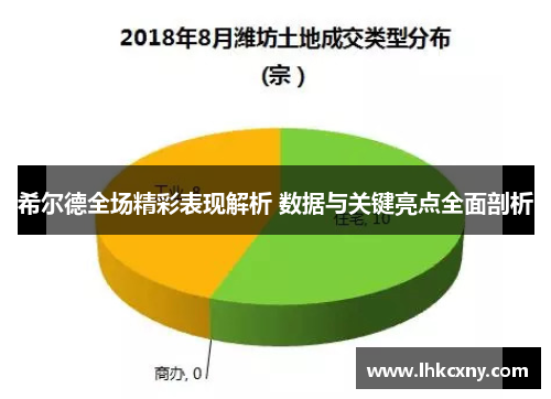希尔德全场精彩表现解析 数据与关键亮点全面剖析