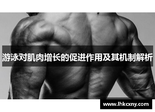 游泳对肌肉增长的促进作用及其机制解析